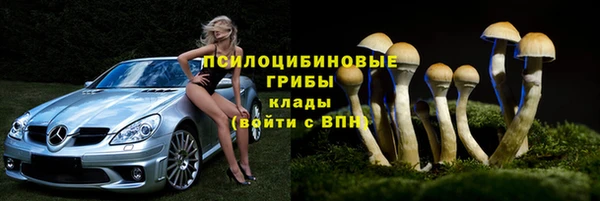 прущие крисы Белокуриха