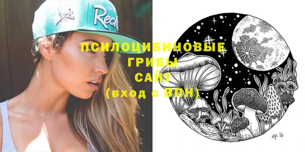 прущие крисы Белокуриха
