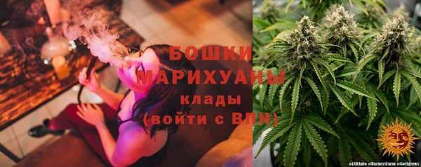 прущие крисы Белокуриха